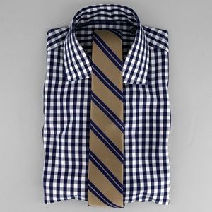 The Tie Bar Classic Gingham Navy Dress Shirt
